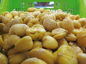 marrons-glaces3