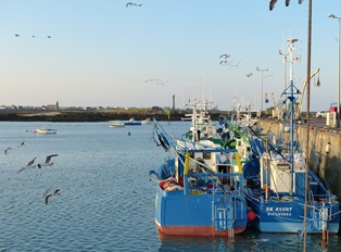 Jouer la pêche sur le devon