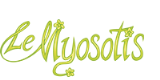 myosotis