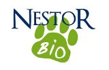 nestor