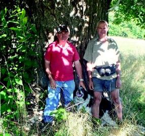 SATINFO_N_125_Page_11_Image_0002