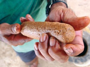 La pâte ainsi obtenue est roulée à la main pour obtenir un bâton de guarana qui sera fumé pendant 40 jours.