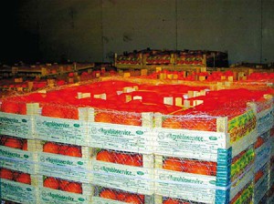 Oranges-Palettes