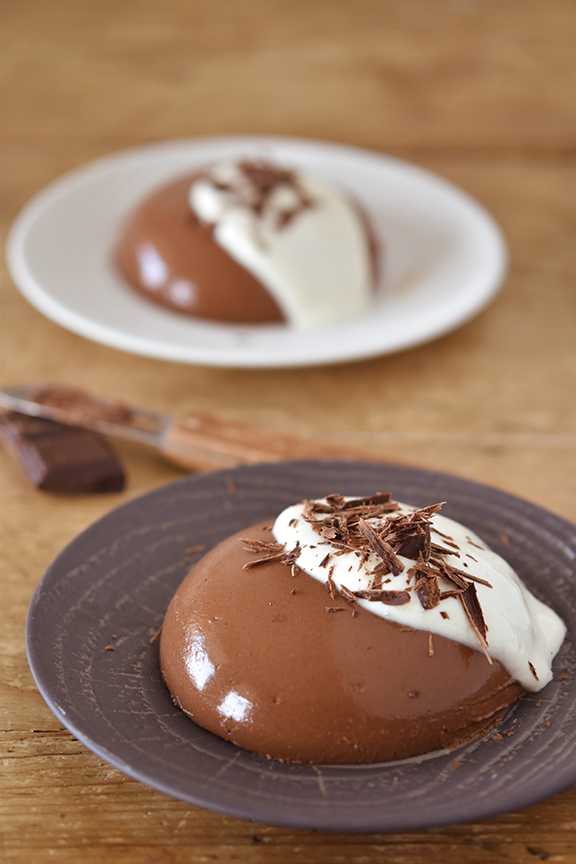 Ingredients Agar Agar Satoriz Le Bio Pour Tous