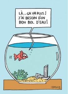 dessin-boldeau