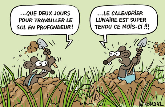 Calendrier Lunaire 2022 (2022) by Gros Michel