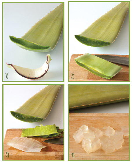 extraction-aloe-vera