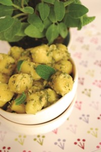 gnocchi