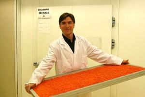 lazzaretti