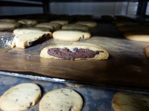 Sacrifice d'un biscuit fourré choc, en direct ! 