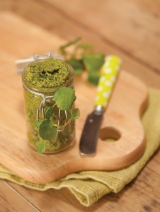 pesto-cresson