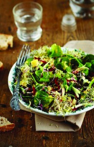 saladeenergie1